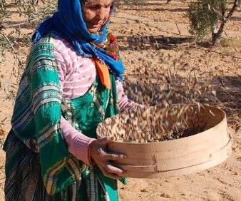 Tunisia cultural tours